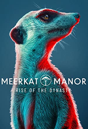 Watch Full Tvshow :Meerkat Manor: Rise of the Dynasty (2021 )