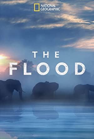 Watch Full Tvshow :The Flood (2018)