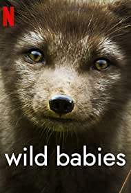 Watch Full Tvshow :Wild Babies (2022-)