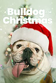 A Bulldog for Christmas (2013)