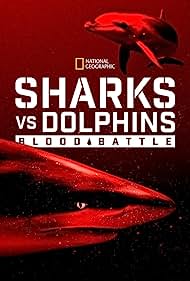 Sharks vs Dolphins Blood Battle (2020)